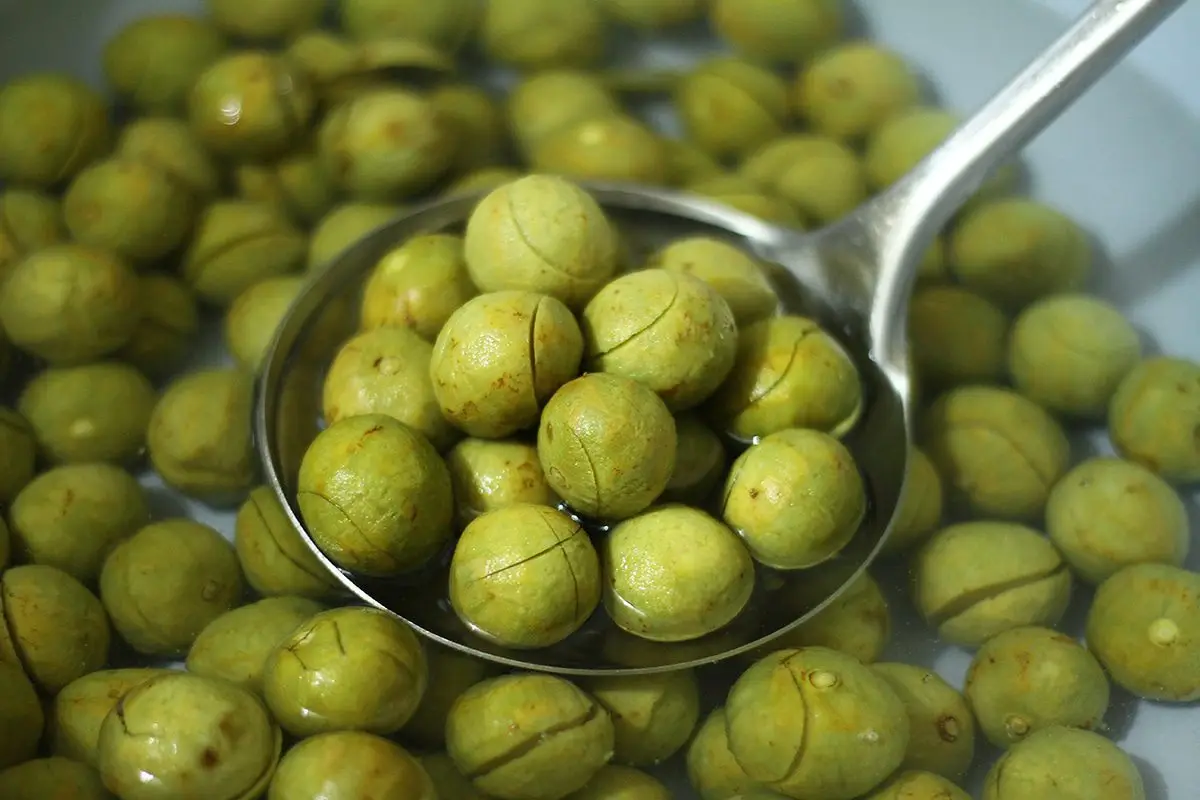 Dac diem cua qua sau va meo chon mua bao quan sau tuoi MNMN 2
