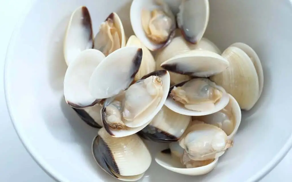 Cách chọn nghêu tươi, bảo quản và sơ chế đúng cách
