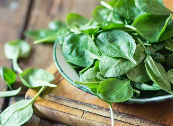 plate spinach 1557