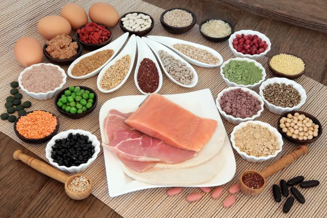 protein foods