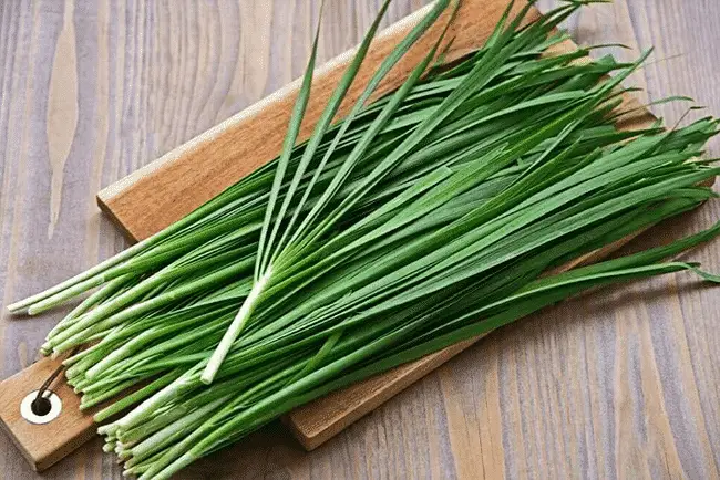 Tất tần tật dinh dưỡng từ 