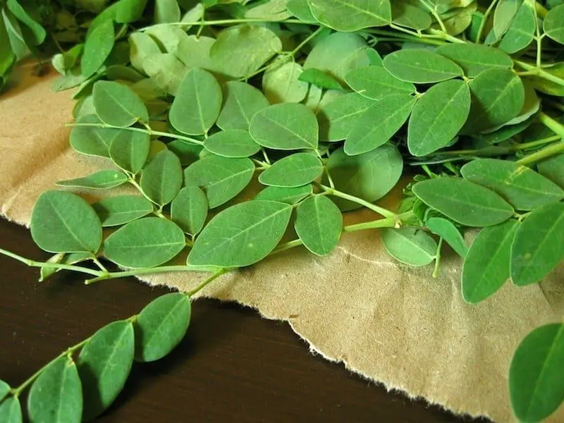 Món canh chùm ngây sườn non giúp cơ thể khỏe mạnh