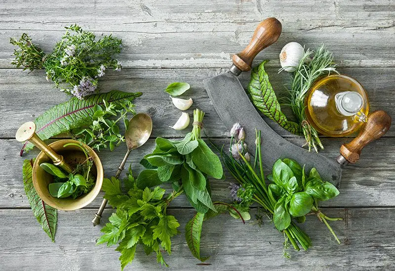 7 loại rau gia vị phòng ngừa cảm cúm hiệu quả