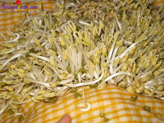 Tự l&agrave;m gi&aacute; ở nh&agrave; m&agrave; kh&ocirc;ng cần d&ugrave;ng đến m&aacute;y 4