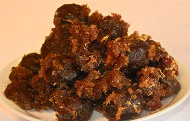 &ocirc; mai sấu gừng