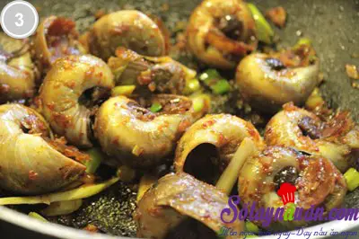 Ốc mỡ x&agrave;o sa tế 3
