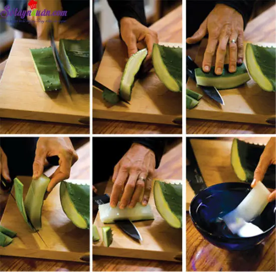 c&aacute;ch nấu ch&egrave; nha đam 2