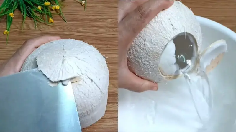 c&aacute;ch l&agrave;m thạch dừa rau c&acirc;u