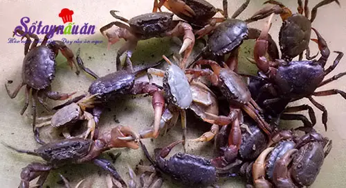 Canh cua rau dền cho ng&agrave;y nắng n&oacute;ng nguy&ecirc;n liệu