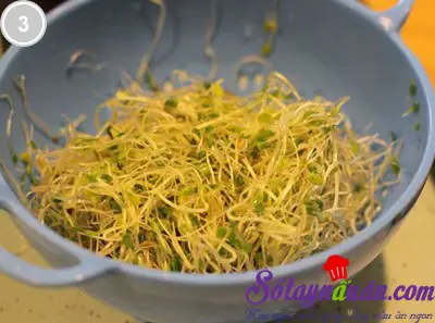 Salad rau mầm tươi 3